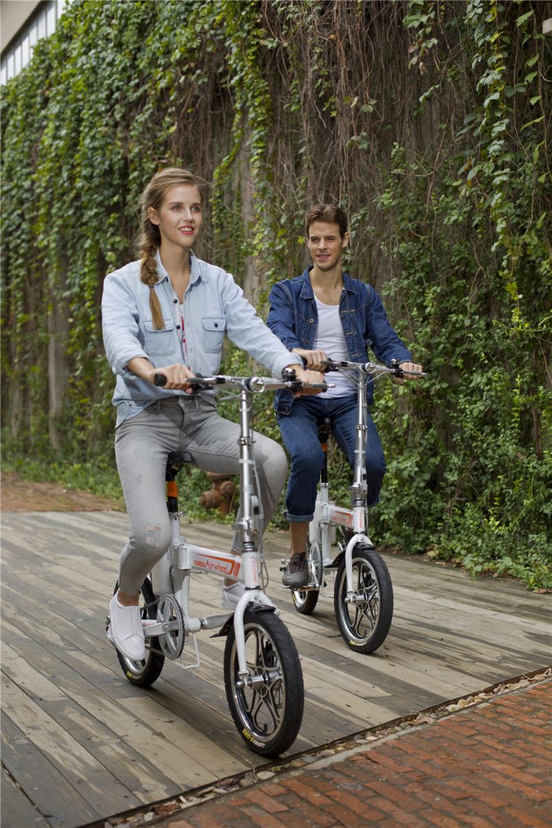 smart electric folding bike